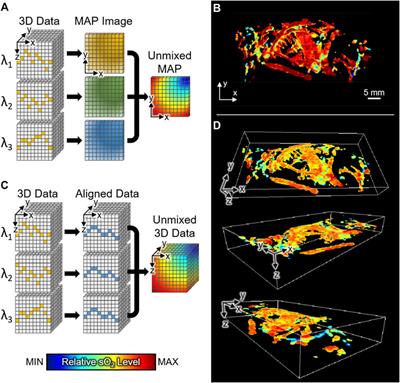 Ultrasound-Guided Breath-Compensation in Single-Element Photoacoustic Imaging for Three-Dimensional Whole-Body Images of Mice